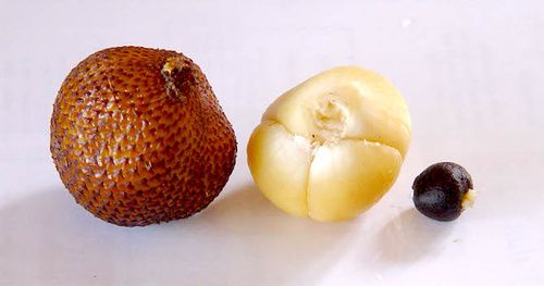 Salak