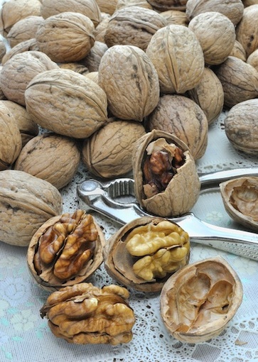 Le noci, piene di vitamina B9 e vitamina E