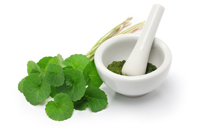 Centella e ippocastano per l’insufficienza venosa